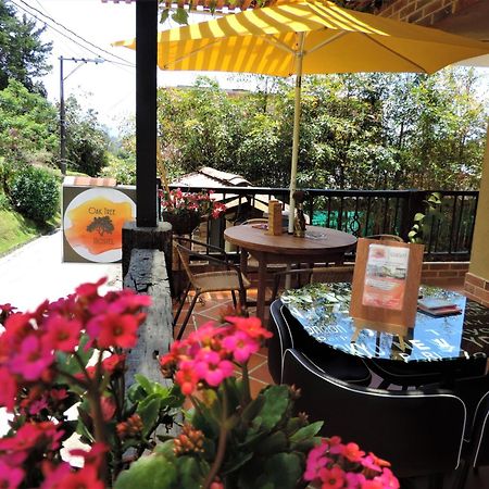 Guatapé Oak Tree House 게스트하우스 외부 사진